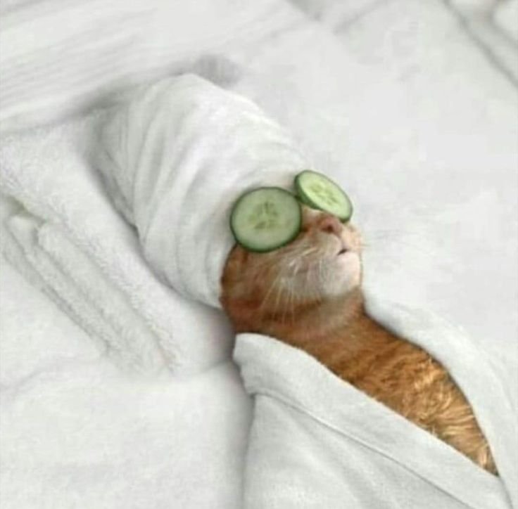 Spa em Casa: O Guia Definitivo Para um Facial Profissional e Momentos de Puro Autocuidado