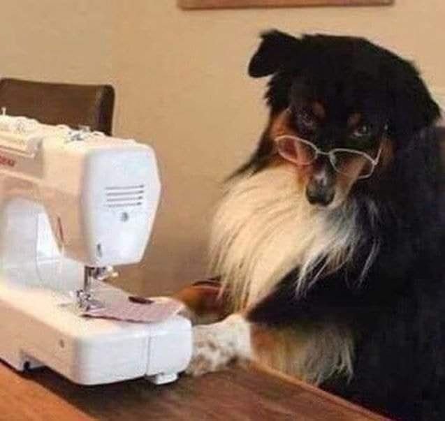 Dicas de Criação e Educação dos Filhos: Guia Prático para Mães Reais 👶💕