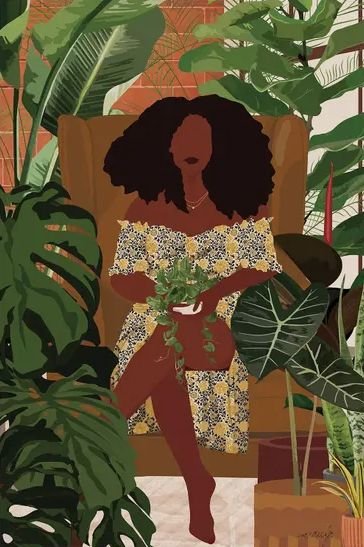 Plantas Dentro de Casa: Quais Escolher e Como Cuidar