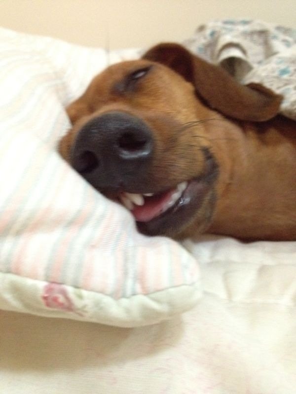 Como Vencer a Procrastinação e Começar a Agir Hoje Mesmo 🚀✨