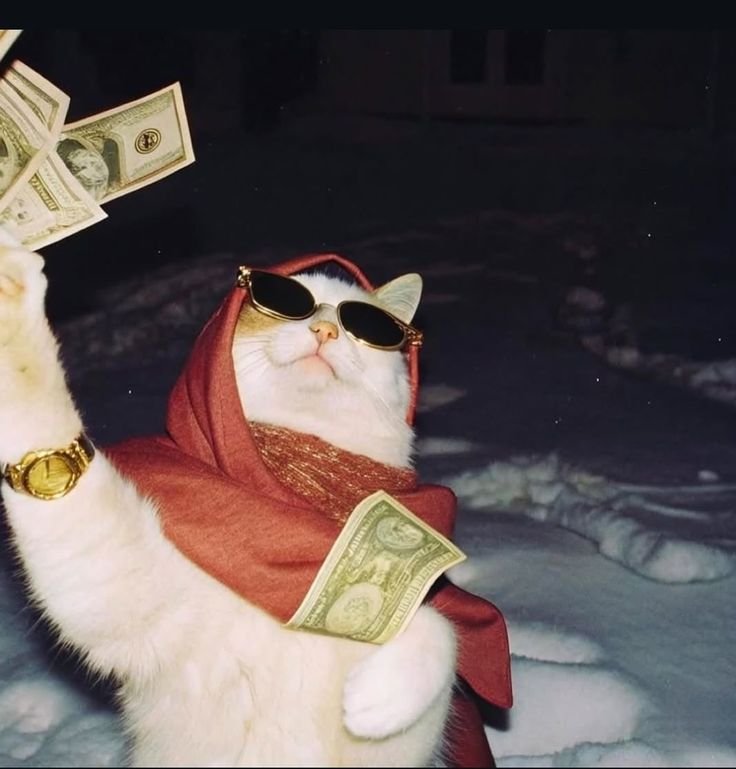 Top 10 Marcas Brasileiras de Beleza Acessível que Valem Cada Centavo